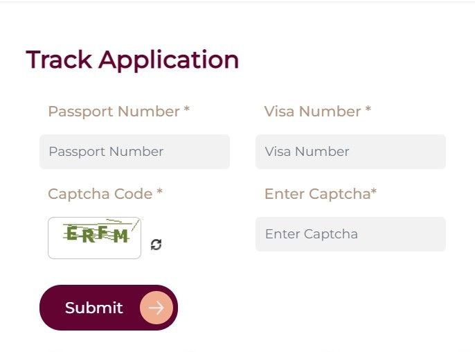 enter qatar visa details